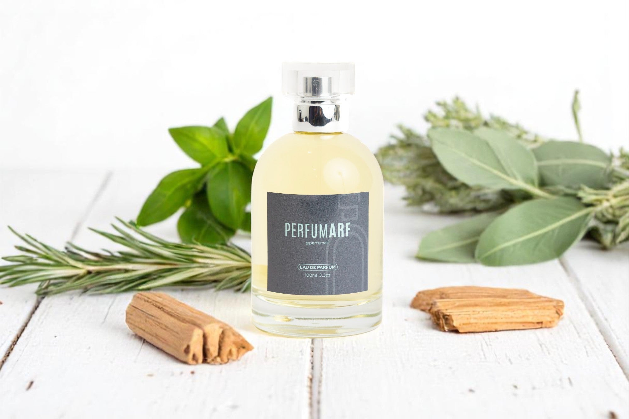 PARIS HILL M. (Inspirado en: Paris Hilton de Paris Hilton)